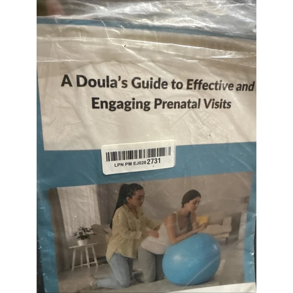 A Doula's Guide to Effective & Engaging Prenatal Visits by Jamie Bodily Paperbac